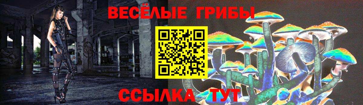 Псилоцибиновые грибы мухоморы Тавда