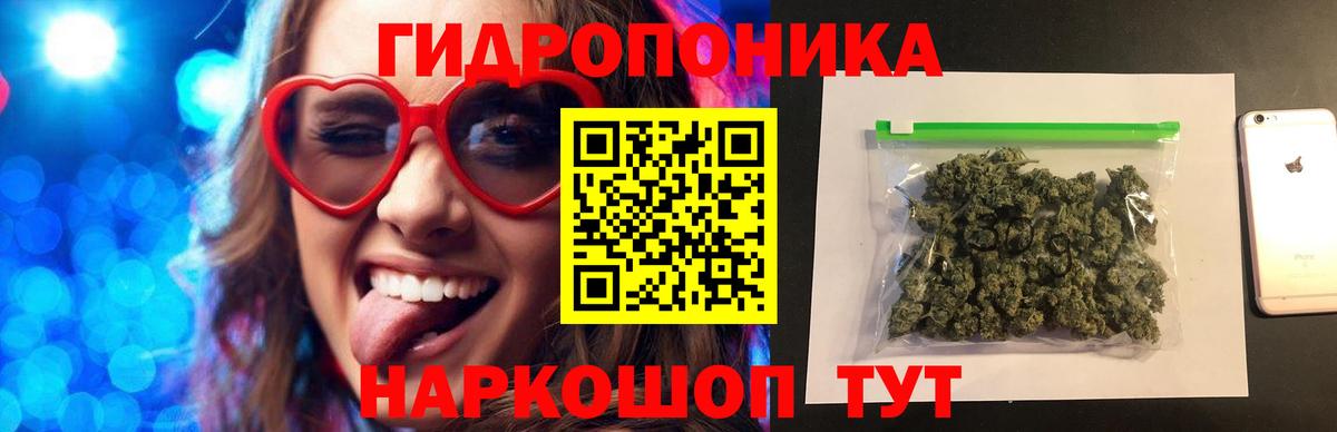 Канабис ГИДРОПОН  Вход с VPN  Тавда  Каннабис Amnesia 